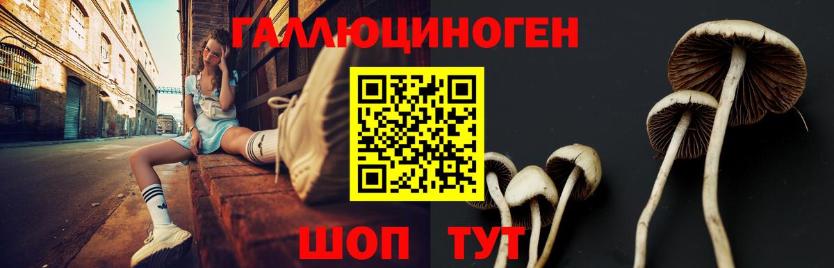Псилоцибиновые грибы Cubensis Артёмовский